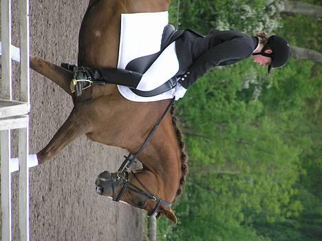 Anden særlig race *Hanandy Fanchefly*  - ebberup rideklub 1 plads :-) billede 16