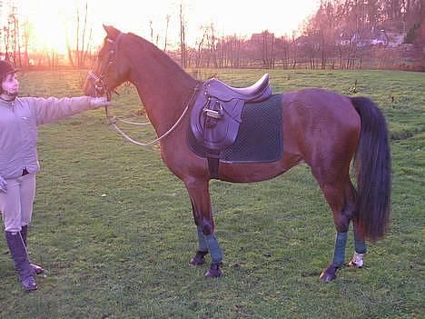 Anden særlig race Farmens Lucky Star  - rimelig godt billede hvis jeg selv skal sige det.. måske lidt lys.. hehe;) billede 15