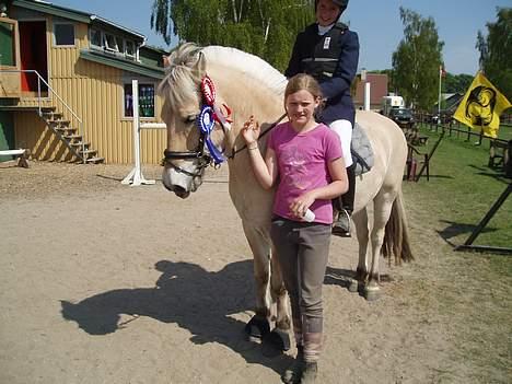 Fjordhest Buller-R.I.P  :'( - Buller med Laura på ryggen og hestepasser Freja ved siden af efter at han har vundet en Lb og fået 2. plads i LC på Fyn. billede 19