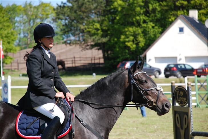 Dansk Varmblod La-Ina <3 død billede 10