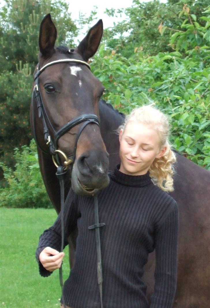 Dansk Varmblod Janni R.I.P. - Davina og Janni hilser på hinanden billede 16