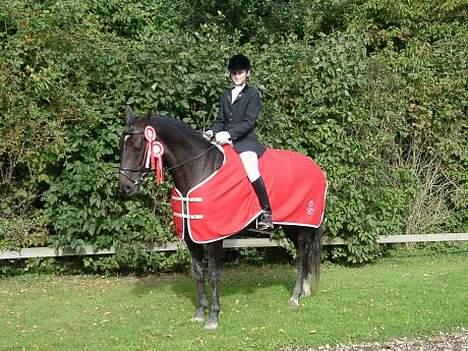 Dansk Varmblod Janni R.I.P. - Fra vores første stævne, da vi vandt klubmesterskabet på MBRK billede 17