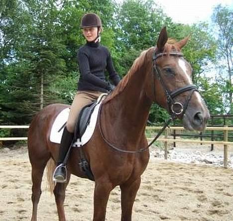 Hannoveraner Davina R.I.P <3 - Davina og jeg, da jeg var ude at prøve hende på Hesselhøj :) billede 12