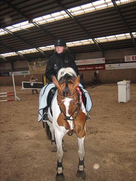 Pinto Kenya Barlee *Aflivet* - Mig og Kenya til stævne på landlyst billede 2