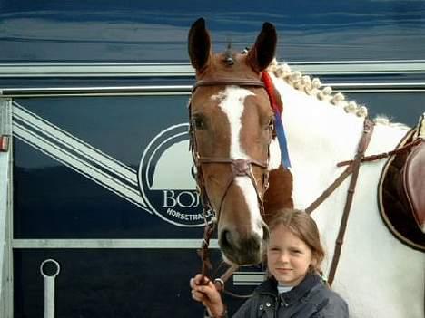 Pinto Kenya Barlee *Aflivet* - Kenya og Zelina billede 4