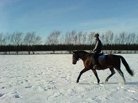 Oldenborg Rambo - Rambo nyder at blive rørt... billede 12