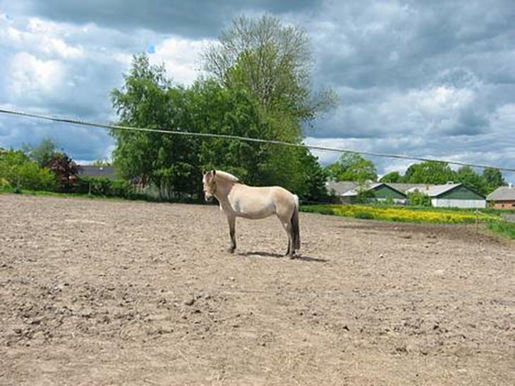 {{currentPhoto.altText}} billede {{currentPhoto.number}}