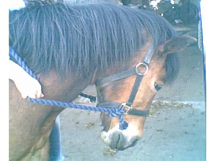 {{currentPhoto.altText}} billede {{currentPhoto.number}}