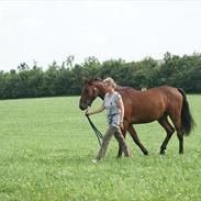 Holstener Calando Power
