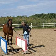 Holstener Calando Power