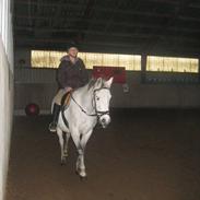 Anden særlig race Cæcar