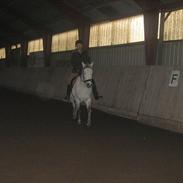 Anden særlig race Cæcar