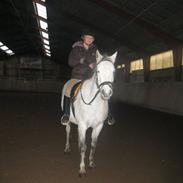 Anden særlig race Cæcar