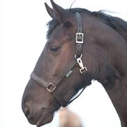 Frieser Sosanna Af Abildgaard