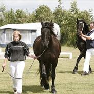 Frieser Sosanna Af Abildgaard