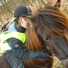 Islænder Perla fra Bagterp