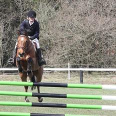 Hollandsk Varmblod Telrite (Rita)