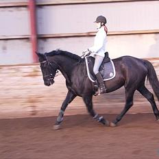 Oldenborg Catana