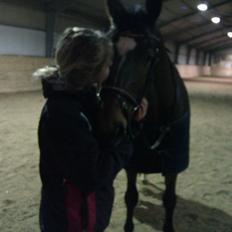 Anden særlig race Travelli<3