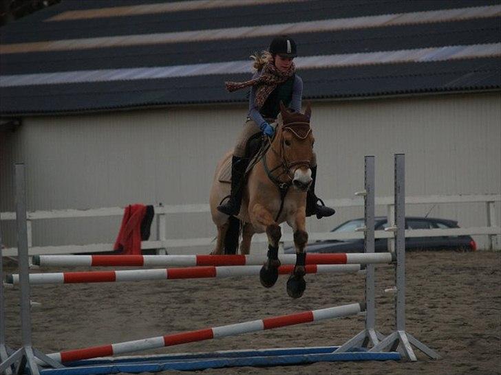 Anden særlig race HEDELYS VICTOR - Vandgrav på 1.05 m :D Foto: Caroline billede 15