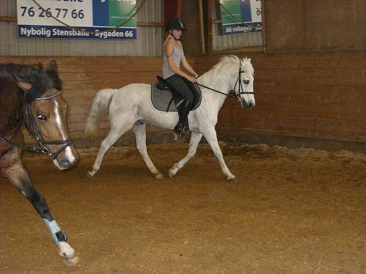 Anden særlig race Maxi billede 11