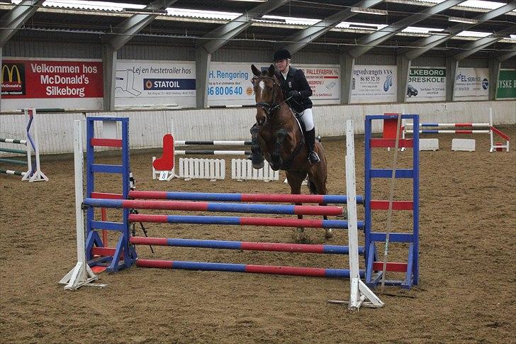 Dansk Varmblod Calahan - Distrikt stævne silkeborg, 29-1-2011 :) vores første stævne sammen ;D billede 13