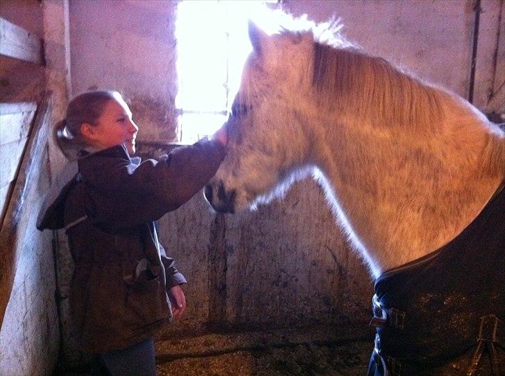 Anden særlig race milan - da jeg næsten lige fik ham<3 billede 8