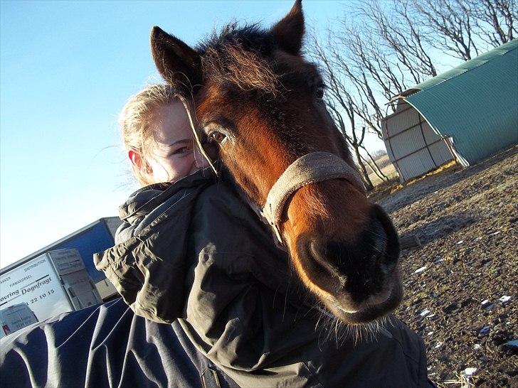 Anden særlig race Solbakken´s Bella ~HængeMule~ billede 7