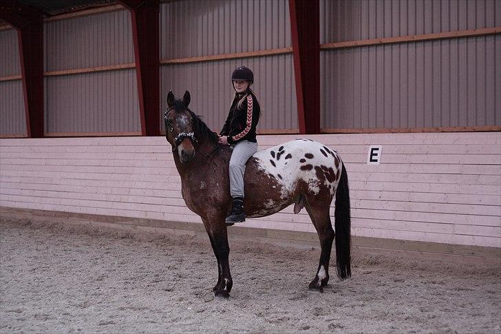 Anden særlig race Free Achak - Achak og min lillesøster billede 11