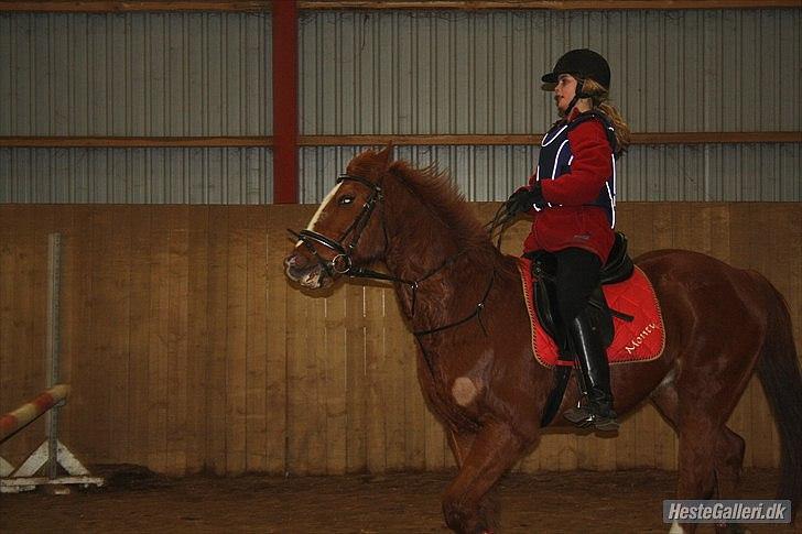 Traver Monty:.... Han hedder rigtig Seep Fella Reg nr.: D billede 15