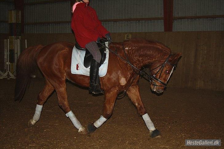 Traver Monty:.... Han hedder rigtig Seep Fella Reg nr.: D billede 16