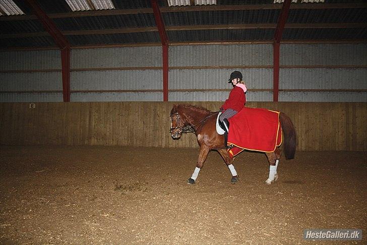 Traver Monty:.... Han hedder rigtig Seep Fella Reg nr.: D billede 7