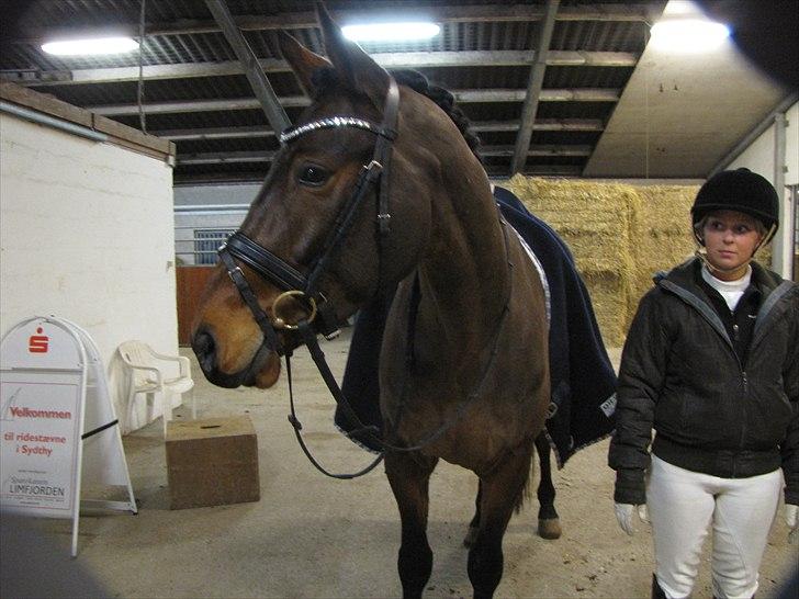 Oldenborg Harely Søndergård <3 Solgt billede 18