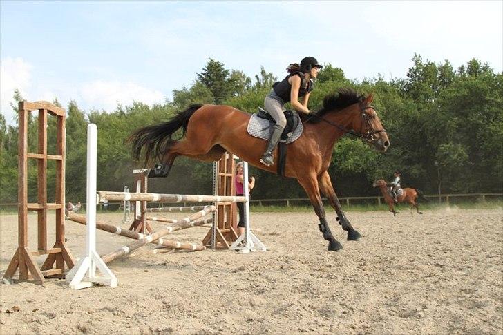 Anden særlig race Shake That Coconut - Wiiiie :P    2010 billede 16