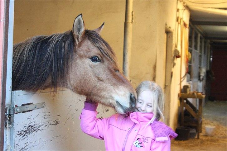 Anden særlig race Bambi - Bambi nusser 7-årige Nanna :) - 30/1-11 billede 7