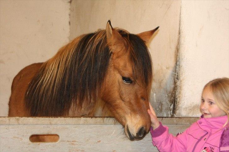 Anden særlig race Bambi - Bambi og 7-årige Nanna - 30/1-11 billede 8