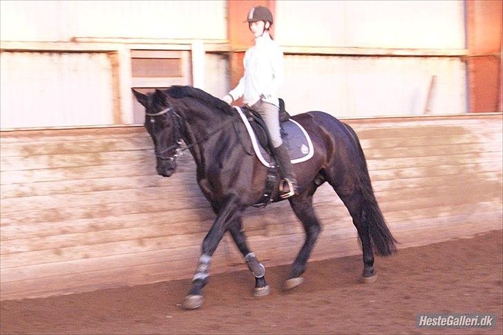 Oldenborg Catana - tak til heidi som har taget billede:) billede 2