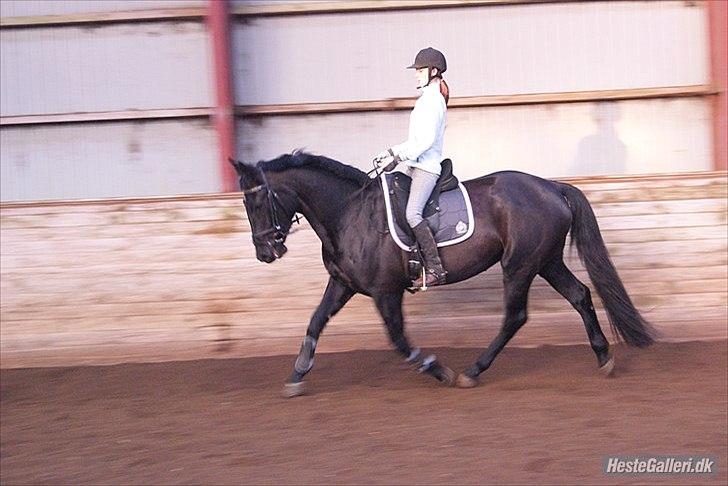 Oldenborg Catana billede 3