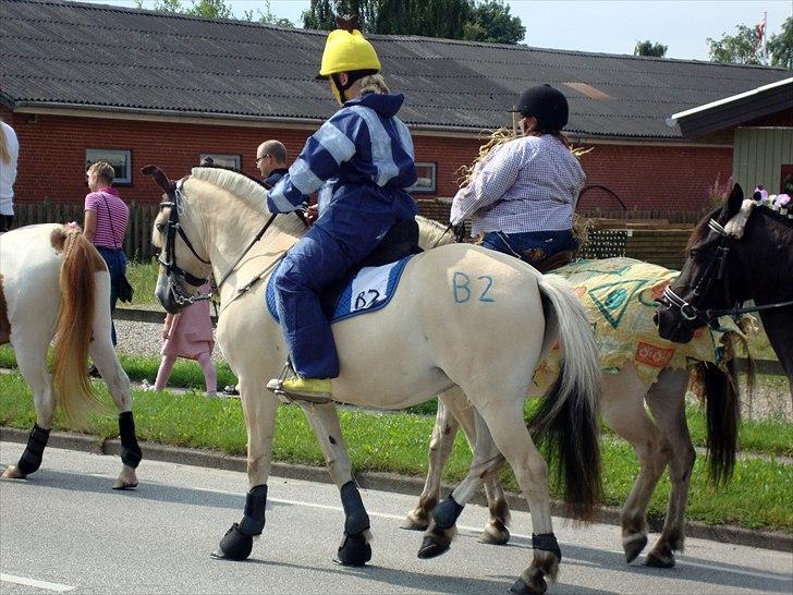 Fjordhest # Capaja # - 15-08-2010 Optog gennem byen med musik fra pigegarden forrest, det tog Capaja i stiv arm hun var rigtig sød. :-)   billede 14