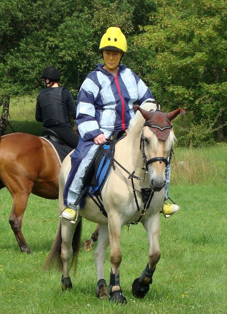 Fjordhest # Capaja # - 15-08-2010 Capajas første ringridning. billede 15