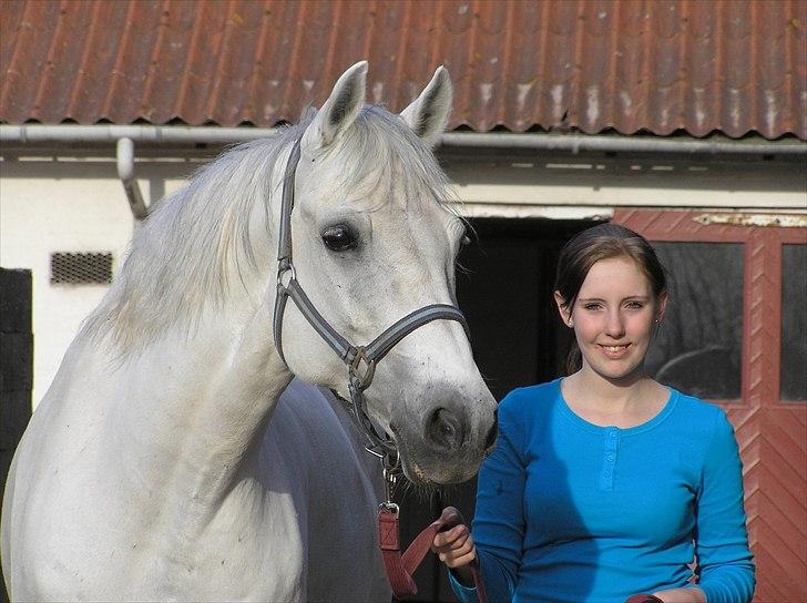 Connemara Rusheen Cuckoo billede 13