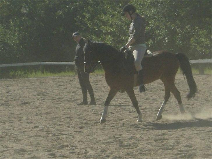 Anden særlig race Jack(solgt) - vi kan også godt gå pænt.!<3 billede 4