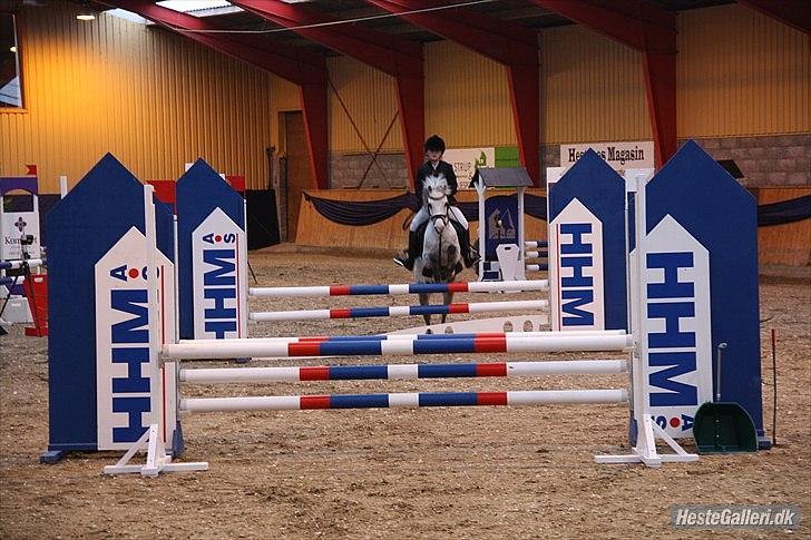 Welsh Mountain (sec A) Elvis Pony  - LA** i HIS<3 første LA!<3 (billede taget af Mor, tak<3) billede 10