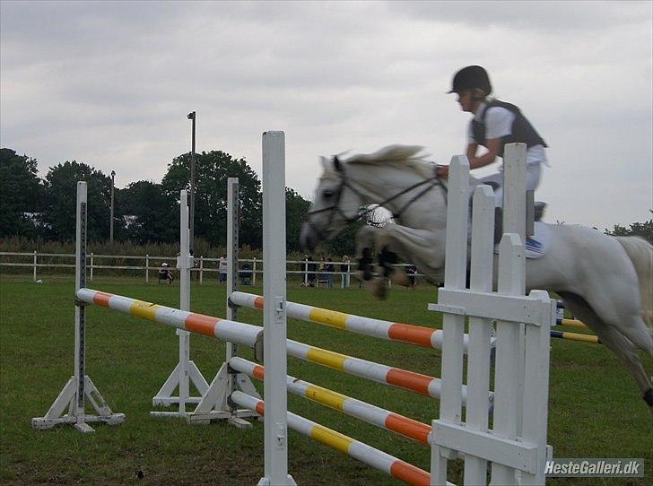 Anden særlig race Stella<3 Solgt d. 21/10-2011 - Fordi min pony er sejere end de fleste <3 billede 13