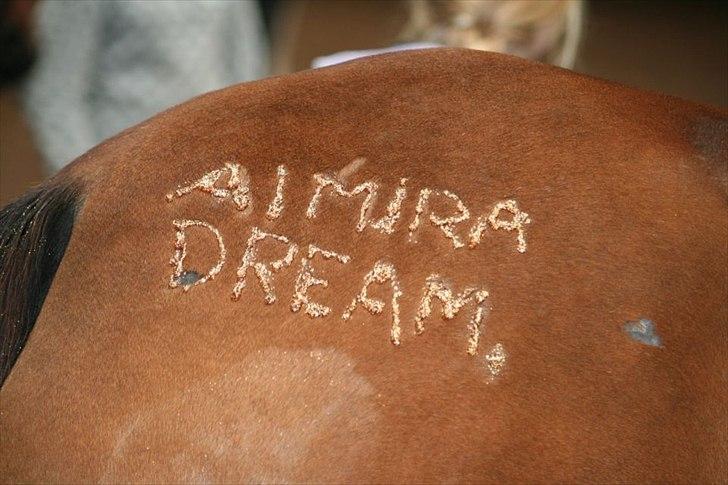 Anden særlig race Topaze's Almira Dream <3 - Ridelejr - striglekonkurrence. :D
Foto: M. Bache. billede 3