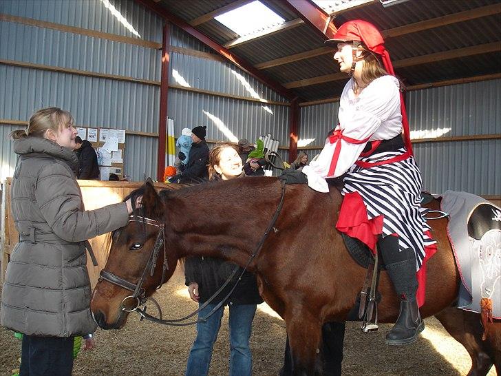 Traver Torak billede 4