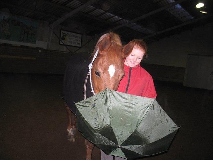 Anden særlig race Alvin - Det der gør livet værd at leve <3 - Vi er bedst når vi er to, så ved jeg at alting nok skal gå. :i billede 5