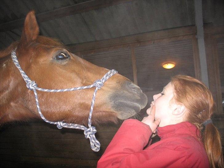 Anden særlig race Alvin - Det der gør livet værd at leve <3 - Jeg elsker dig.. Længere er den ikke !  billede 6