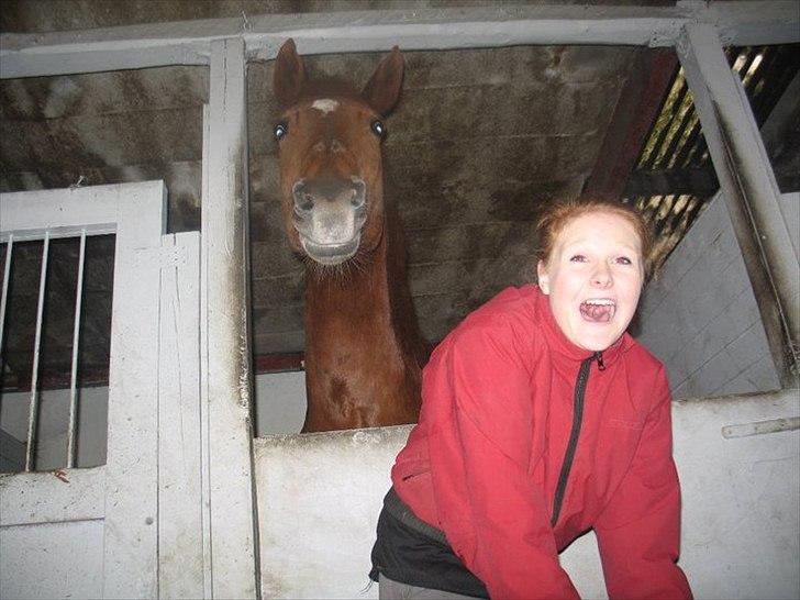 Anden særlig race Alvin - Det der gør livet værd at leve <3 - Nogen gange tror jeg du er menneskelig..  måden vi to kan drille hinanden på, virker så menneskelig.. som om at vi forstår hinanden, kender hinandens tanker, ser med hinandens øjne, lytter med hinandens øre..  Vi er ligesom én person..  billede 9