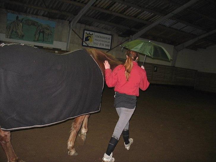 Anden særlig race Alvin - Det der gør livet værd at leve <3 - Det har været en kamp, at få din tillid.. men nu hvor jeg har den, ved jeg at den aldrig forsvinder igen..  billede 10